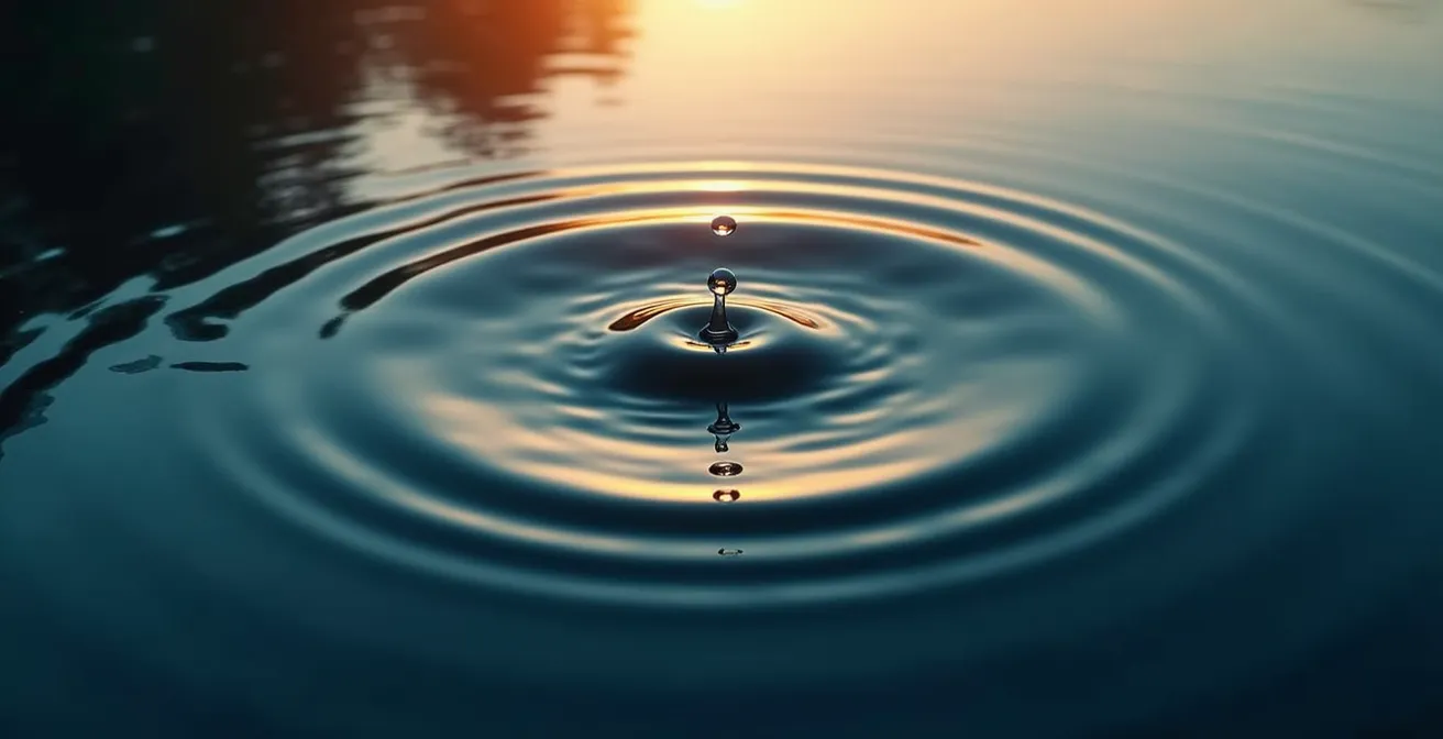 Schema visivo del modello distributivo a cerchi per piccoli editori